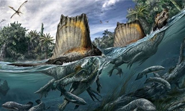 Todo sobre el ‘Spinosaurus aegyptiacus’