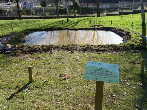 Santander. Ayuntamiento y SEO crean tres charcas para preservar e incrementar las especies de anfibios en la ciudad