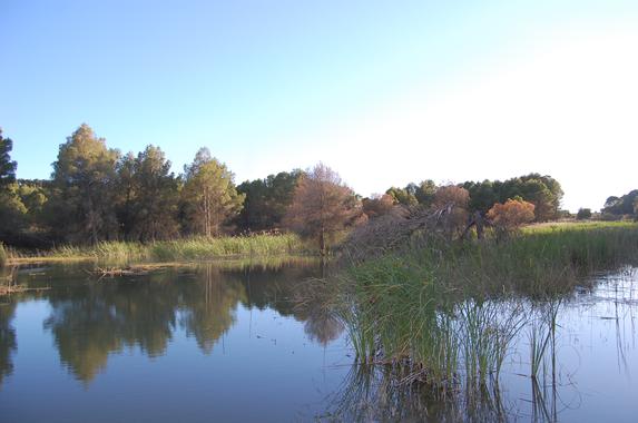 Proyecto Life+ Creamagua