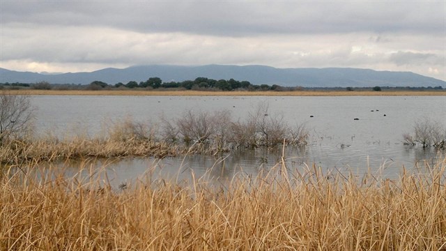 Ecologistas de Castilla – La Mancha demandan una normativa específica para el ecoturismo