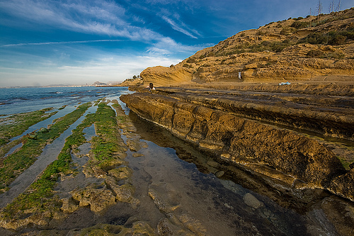 La biodiversidad del Mediterráneo es la más amenazada del planeta