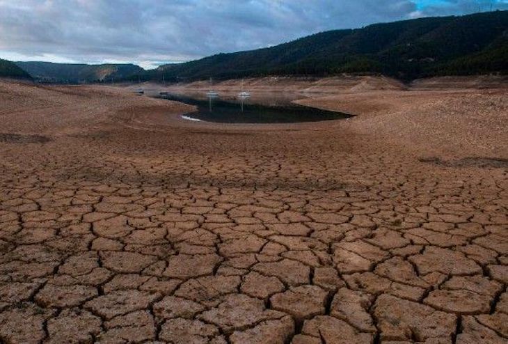 Cambio climático + comercio global = más especies invasoras