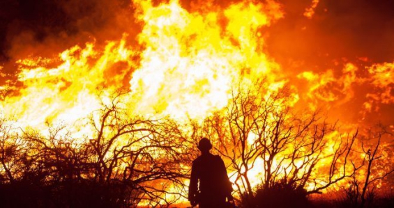 Incendio forestal en California: Miles de personas escapan de las llamas