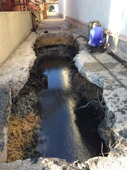 Redelsur niega vertidos en Delphi