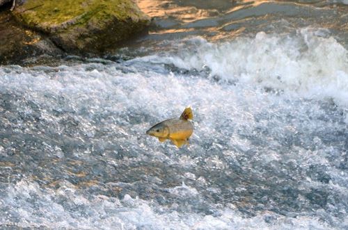 ONG ambientales exigen mejorar los recursos hídricos y recuperar humedales