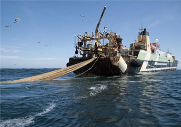 Europa incrementará el control de su flota pesquera en todo el  mundo