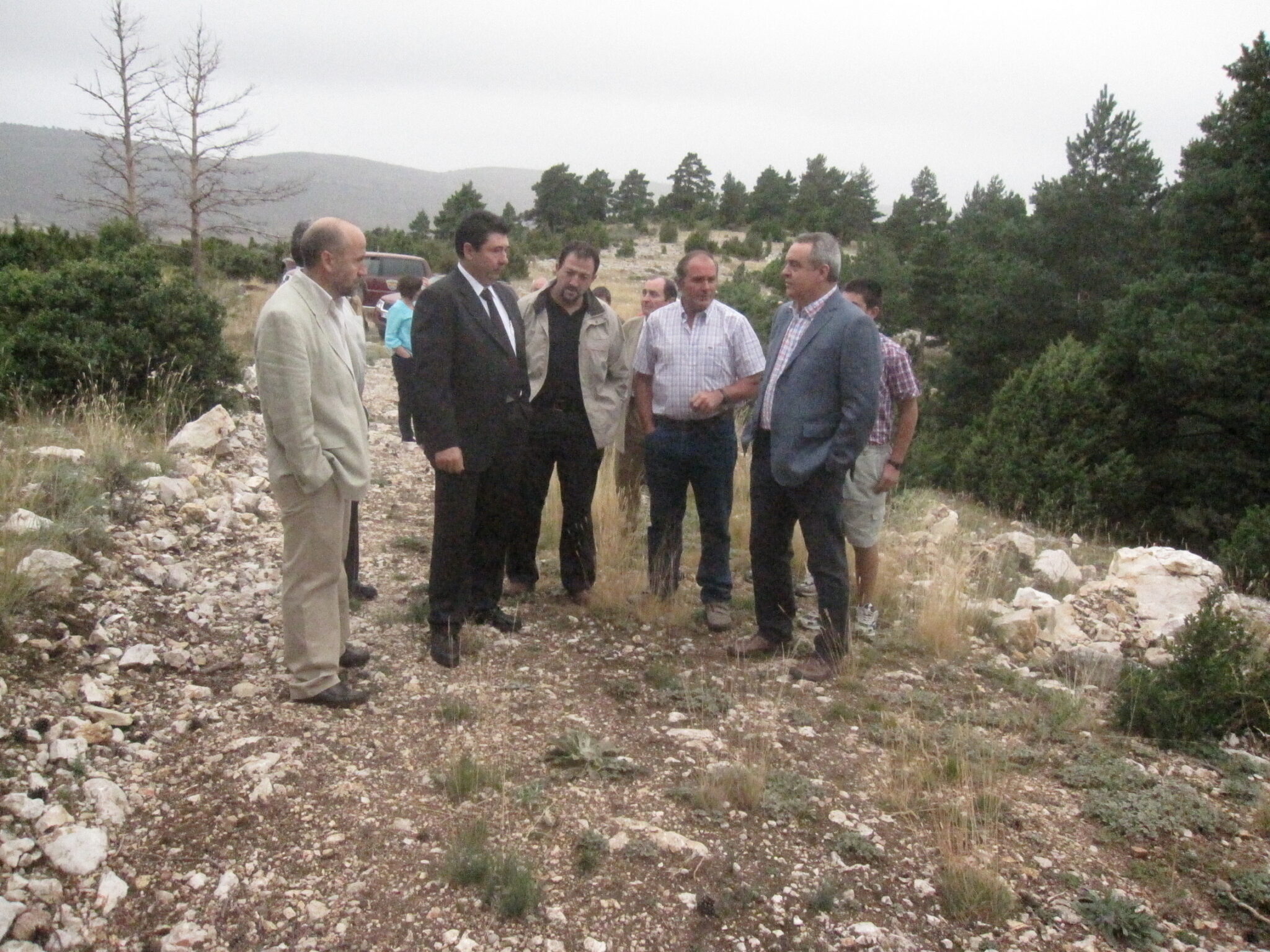 El Departamento de Medio Ambiente invierte 426.000 euros en actuaciones de gestión forestal en la comarca de Maestrazgo