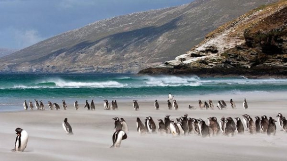 Argentina: Impulsan la creación de parques nacionales marítimos