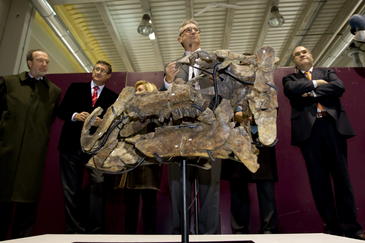 Descubierto un nuevo tipo de dinosaurio en Teruel