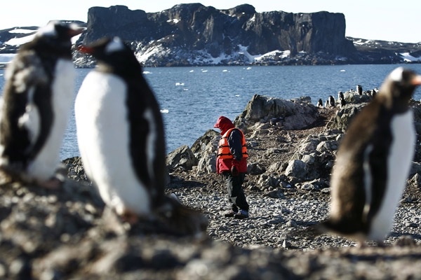 Cambio climático en Chile: Expertos internacionales pronostican aumento de un metro en nivel del mar