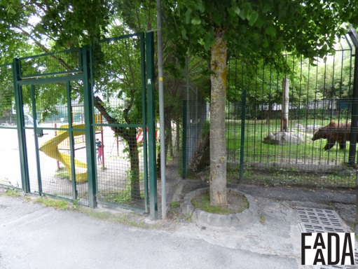 El Ayuntamiento de Arties y el gobierno de aran continuan negándose al traslado de los osos mimo y aran