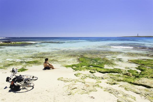 La web ‘balearsnatura’ se actualiza