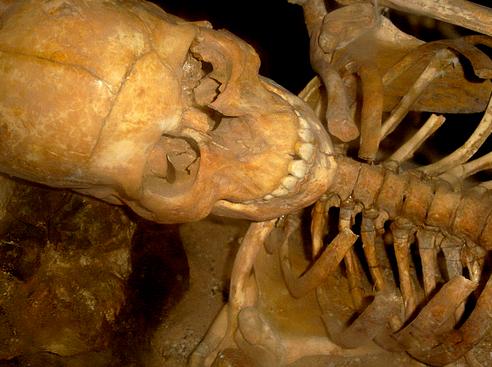 El ser humano moderno se hibridó con los neandertales