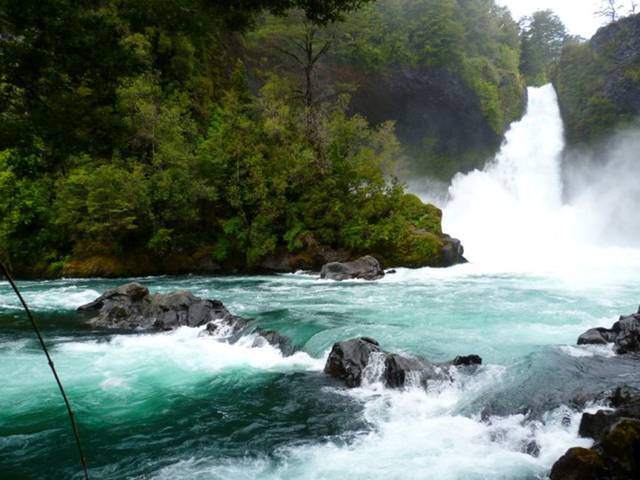 Los campamentos de verano de Greenpeace