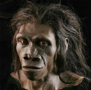 Una molécula de azúcar en el origen del género humano