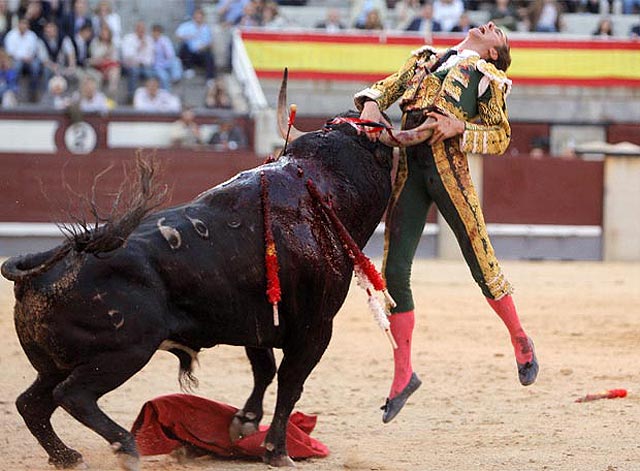 Iniciativas para eliminar espectáculos con toros de especial crueldad
