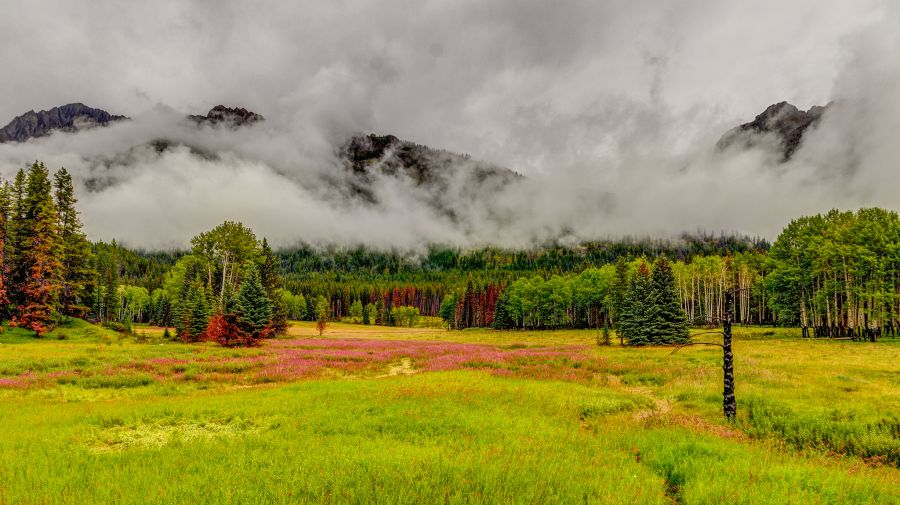 Canadá aplicará impuesto a emisiones de dióxido de carbono
