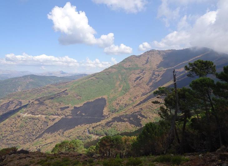Sierra Bermeja necesita protección YA