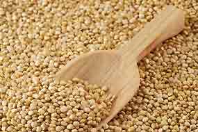 Expertos debaten en Ecuador sobre cultivo y consumo de quinua