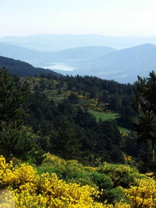 El Congreso ‘sella’ los trámites para convertir el Parque Nacional de Guadarrama en el 15º de España