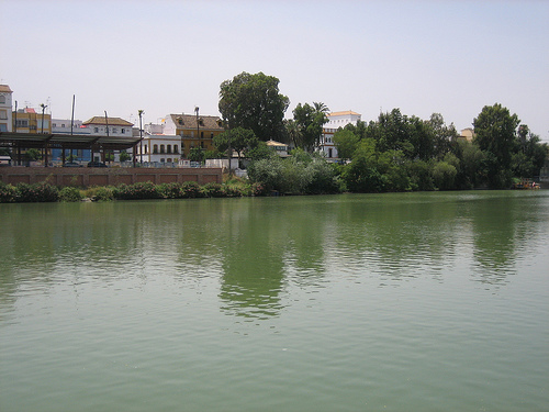 Científicos de la uco proponen un incremento del nivel de protección de algunas especies autóctonas de peces en el Guadalquivir
