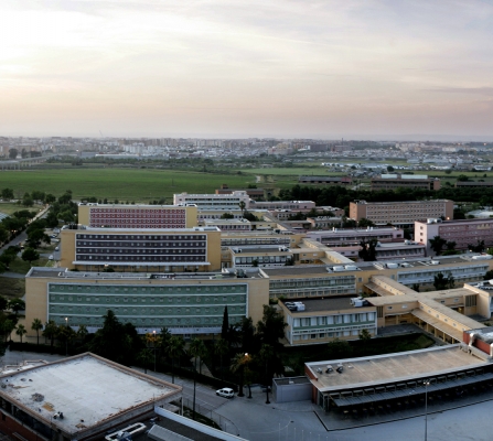 La UPO celebra a partir de este lunes la V edición de la Semana Verde