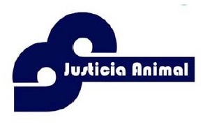 Un perro agoniza durante más de 30 minutos tras caer de un tercer piso por la desatención de la policía local a la llamada de los vecinos.