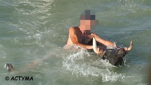 Lamentable espectáculo con los bous a la mar de Denia