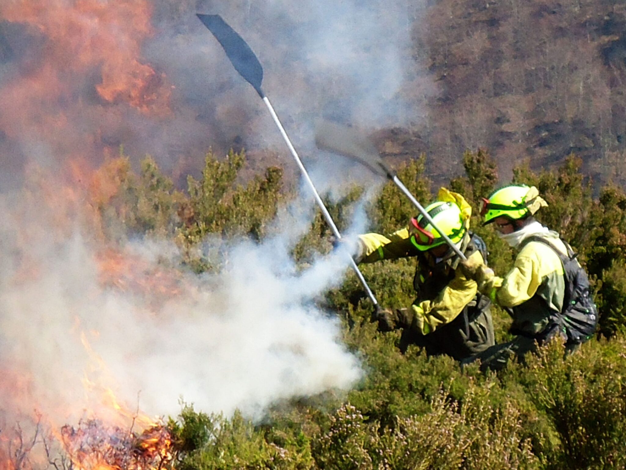 Medio Ambiente pone en marcha acciones divulgativas sobre la campaña de incendios 2014