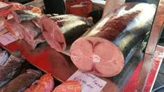 No se llega a ningún acuerdo sobre medidas de gestión de la pesca de tiburones y pez espada