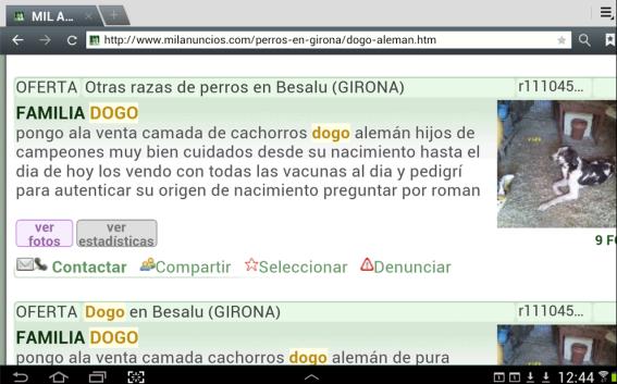 Sanción de 4.900 euros a un criador ilegal de perros de Girona