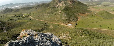 Ganadería extensiva y silvicultura preventiva: algo más que una mirada al pasado