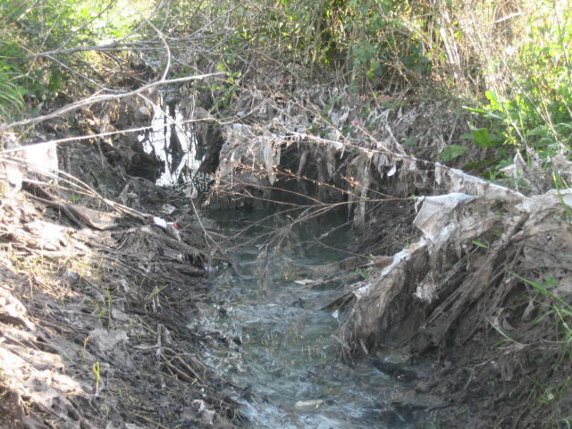 Asturias. Otro nuevo vertido en la ria de Villaviciosa mientras la Consejera dice que todo va bien