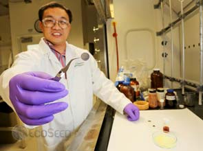 Sulfur used for cheaper