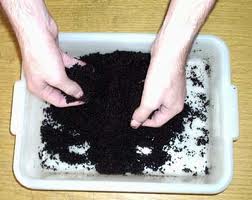 Generan biodiésel con la borra de café