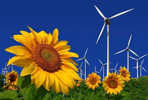 Probable concurso para mejorar en 200 MV la potencia de biomasa y en 500 MW la energía eólica