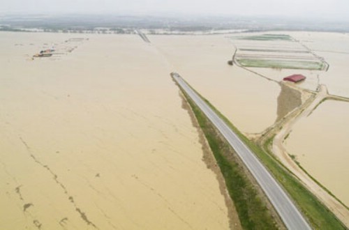 Gobierno de Aragón urge a la limpieza del río Ebro