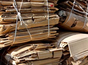 U.N. urges investment policy to foster low-carbon growth