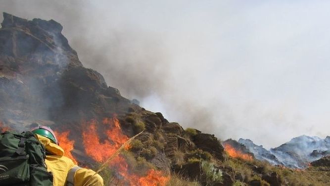 Fin del incendio forestal en Purchena