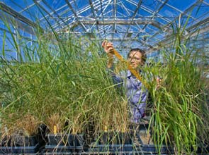 Scientists highlight challenges for meeting California’s emission reduction goals