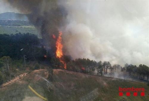 Un total de 25 dotaciones de Bomberos trabajan en un incendio forestal en Pont dArmentera (Tarragona)