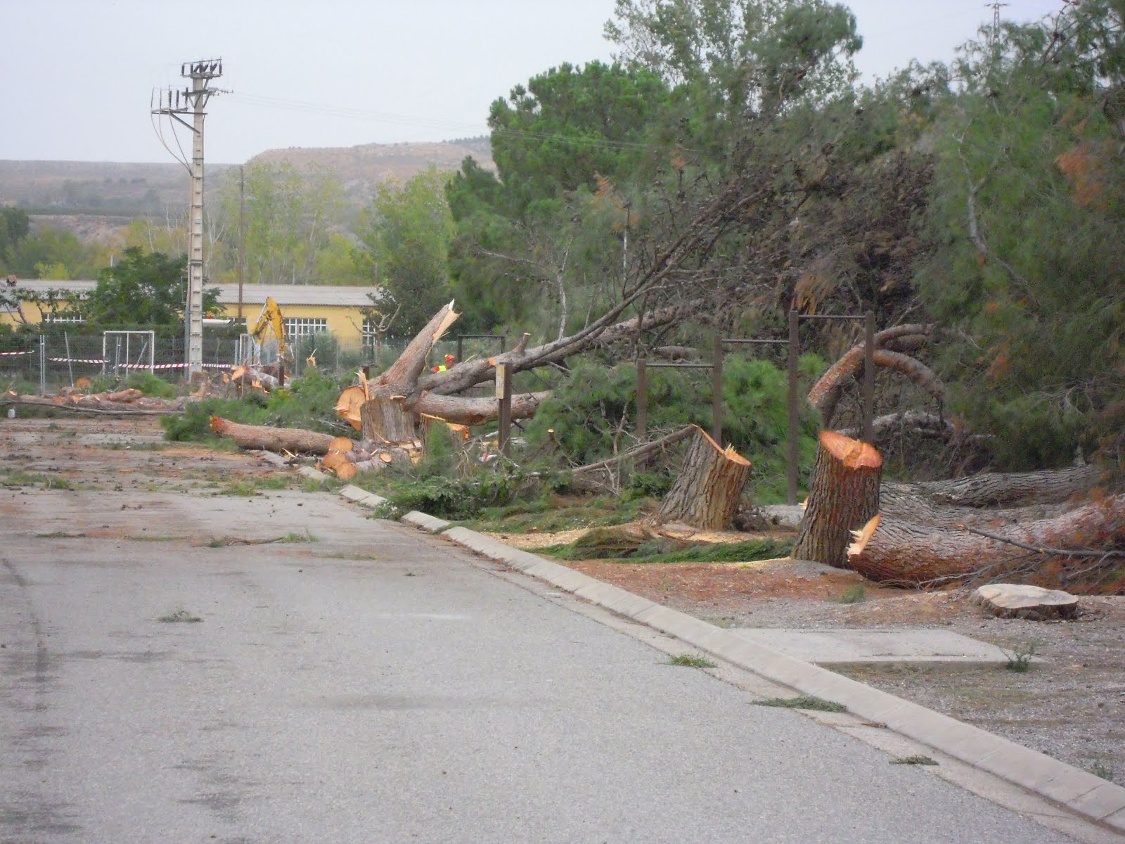 Tala injustificada de árboles en Fraga