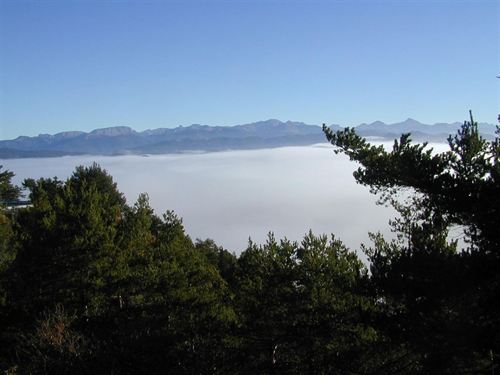 La UPNA acoge la próxima semana un congreso sobre ecología terrestre