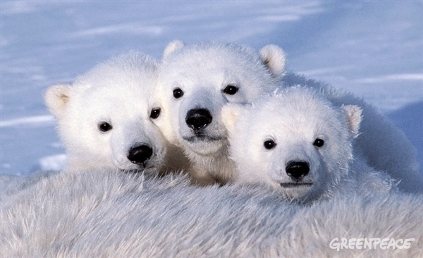 El Ártico se queda ‘corto’