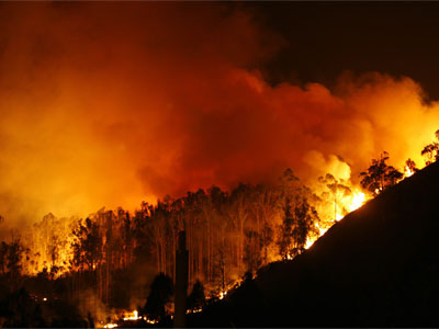 Castilla y León. Extinguido el fuego que ardía en Arévalo (Ávila) desde el martes y que llegó a ser de nivel 1