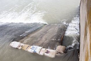 Volverán a subir los peces por el río Guadalete