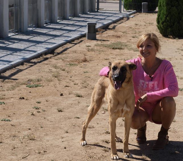 Alejandra Botto y su campaña contra el abandono de animales en El Programa de Verano