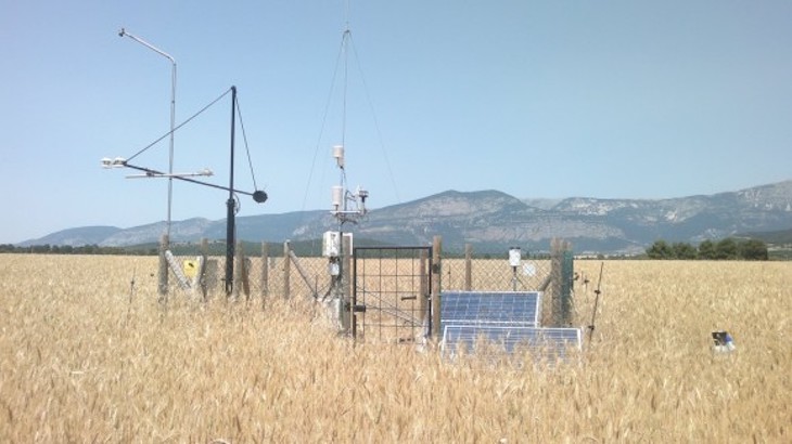 Plantar cereales + leguminosas = menos CO2