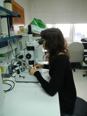 La UCA descubre 18 nuevas especies de moluscos