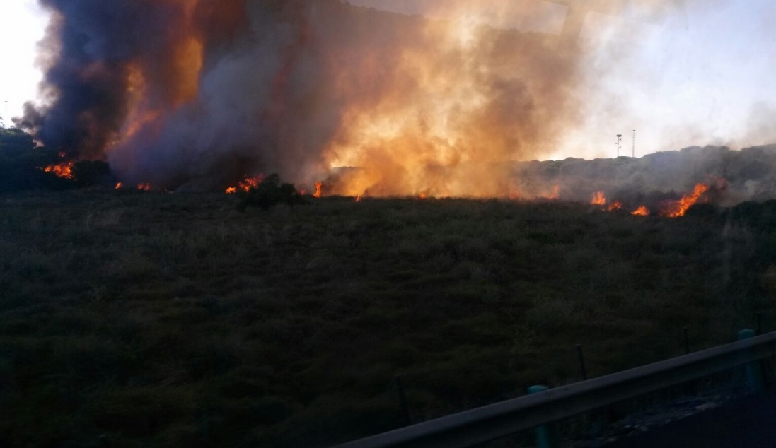 Declarado un incendio forestal en un paraje de Alosno (Huelva)